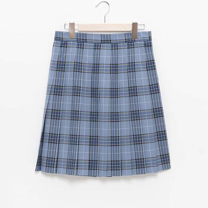 50cm Length 24-Piece Check Pleats Check Skirt,Beige, medium image number 4