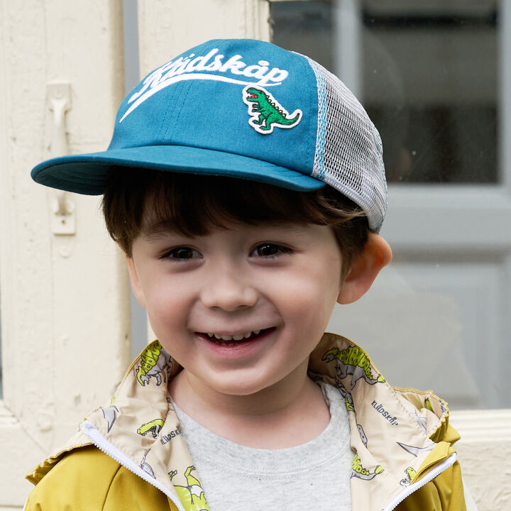 Logo Embroidery Mesh Cap,, medium