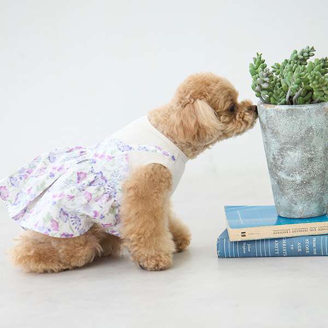 [DOG] Floral Pattern Docking Dress,Blue, large image number 5