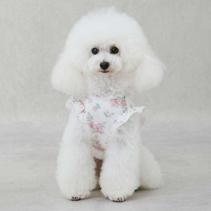 [DOG] [SWIM] Shoulder Frill Pattern Tank,, medium