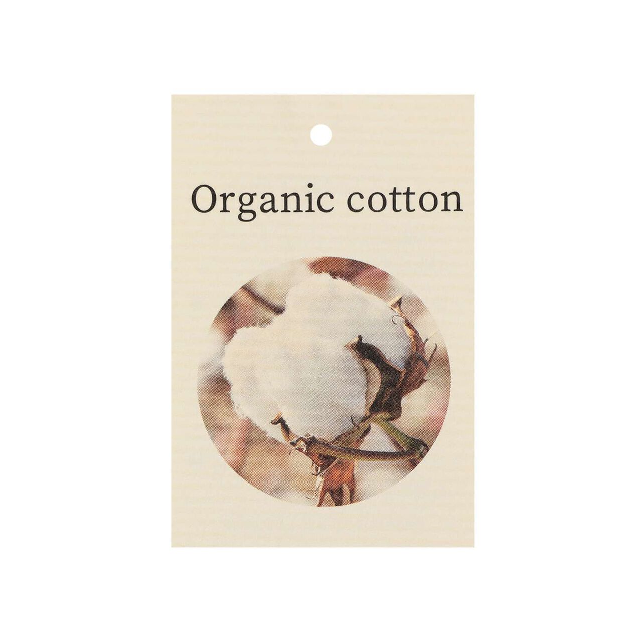Wild Strawberry Embroidered Vest [Organic] [Made in Japan],Pearl white, large image number 8