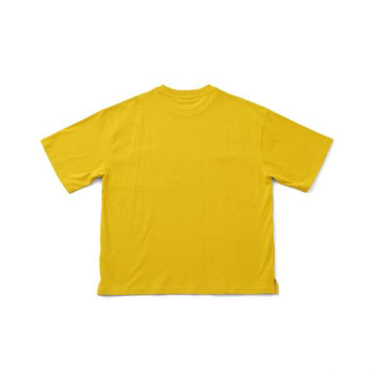 Big Short Sleeve T-Shirt with Pocket and Skater Embroidery,White, large image number 3