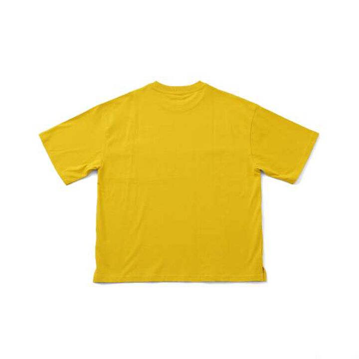 Big Short Sleeve T-Shirt with Pocket and Skater Embroidery,White, medium image number 3