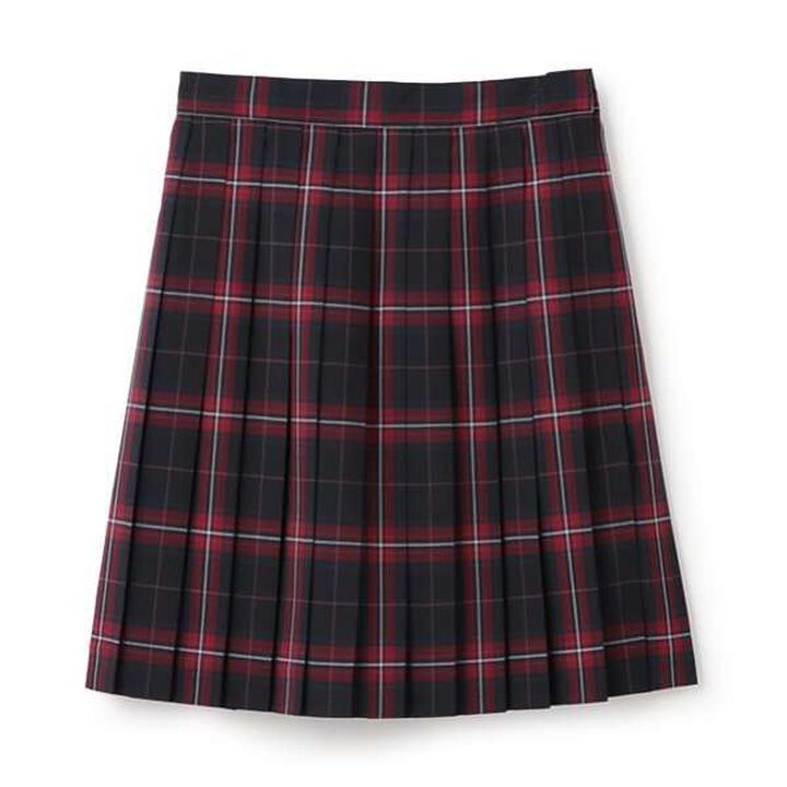 *TW Pleated Check Skirt,Blue, medium image number 2