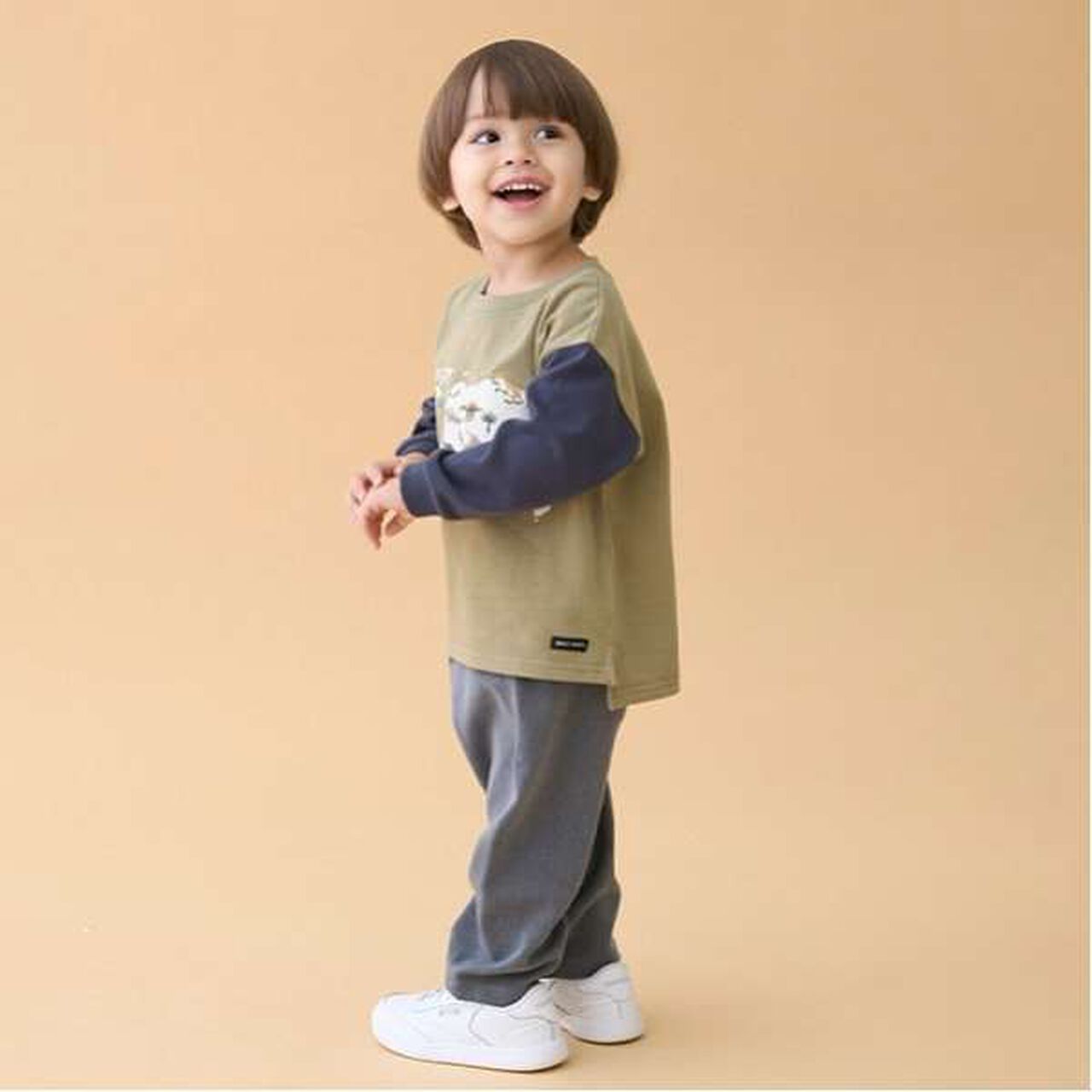 Dinosaur Embroidered Long Sleeve T-Shirt,Khaki, large image number 1