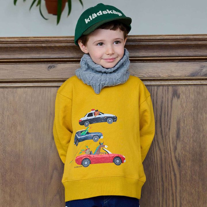 Animal, Dinosaur, and Car Sweatshirt,, medium