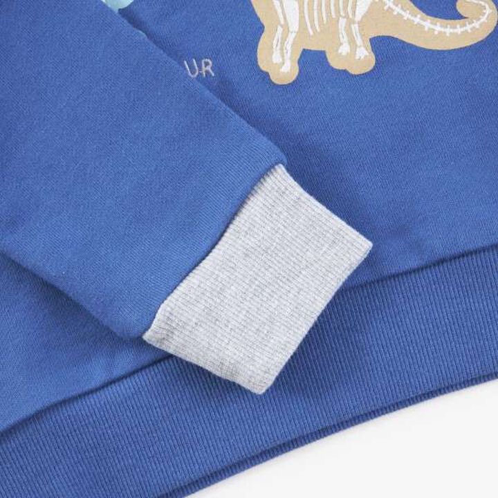 KP Boy Dinosaur Fossil Embroidered Sweatshirt [80-130],Blue, medium image number 14