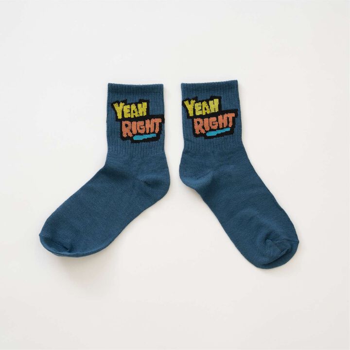 [D Select] Parody Icon Socks,, medium