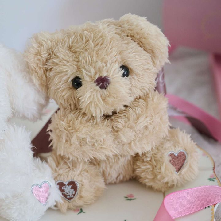 Fluffy Animal Hug Charm,, medium