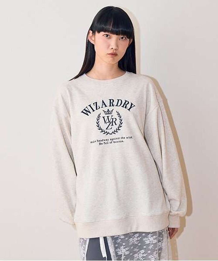 Assorted Sweatshirts,Black, medium image number 14