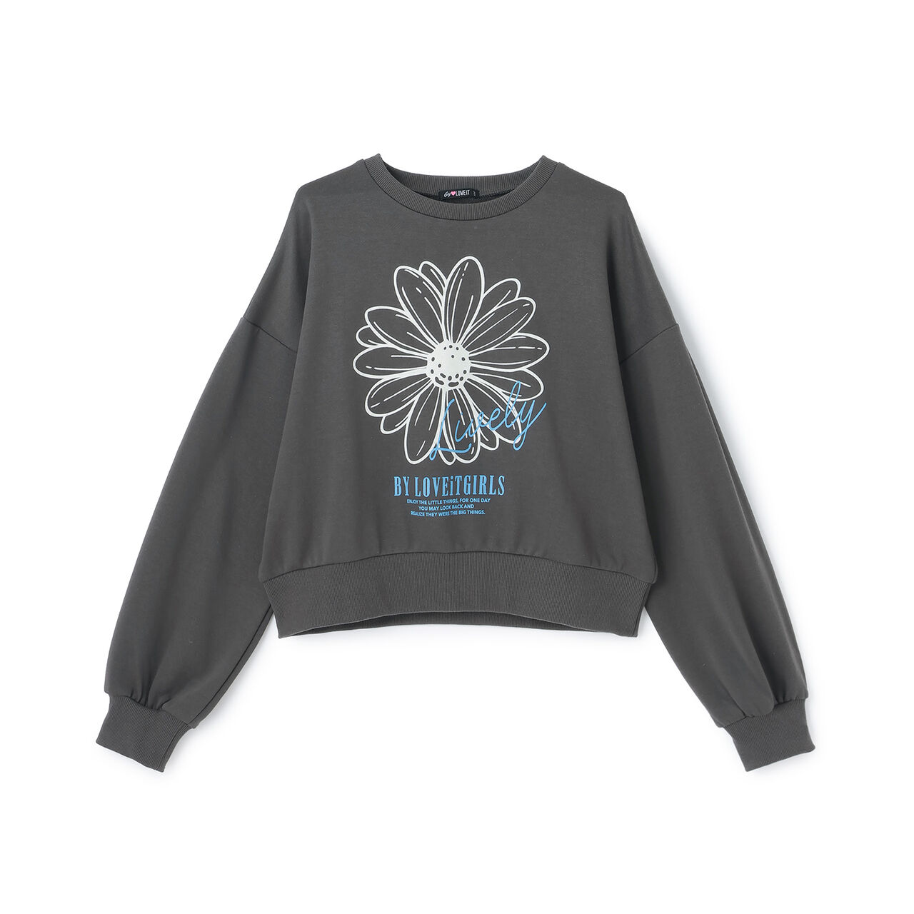 Flower Flock Pullover,Charcoal gray, large image number 0