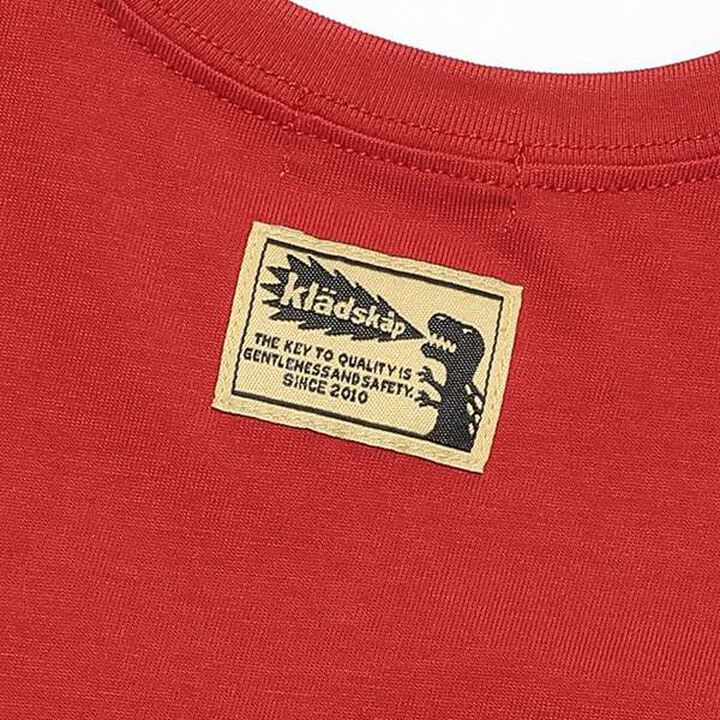 Sagara Dinosaur Long-Sleeve T-Shirt,Top gray, medium image number 6