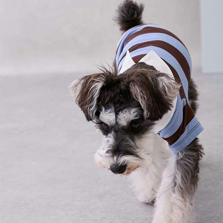 [DOG] Rugby Shirt,Beige, medium image number 6