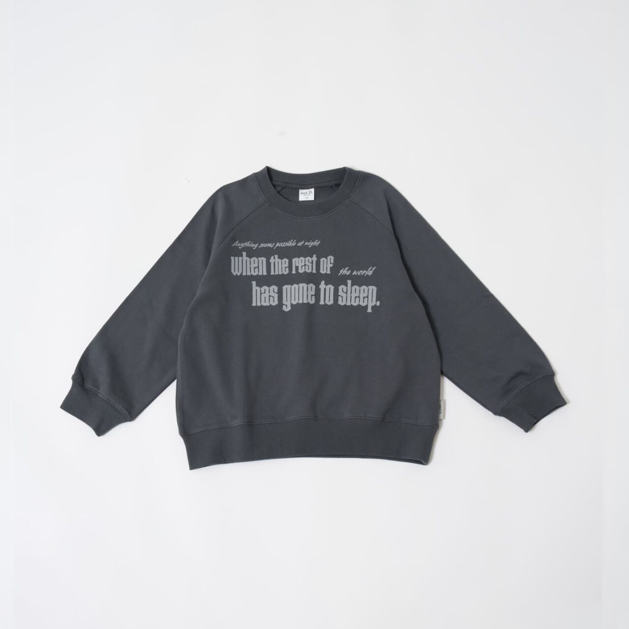 [365D.] [Matching with Dad] Raglan Sweatshirt Assortment Logo Pullover,Charcoal gray, large image number 21