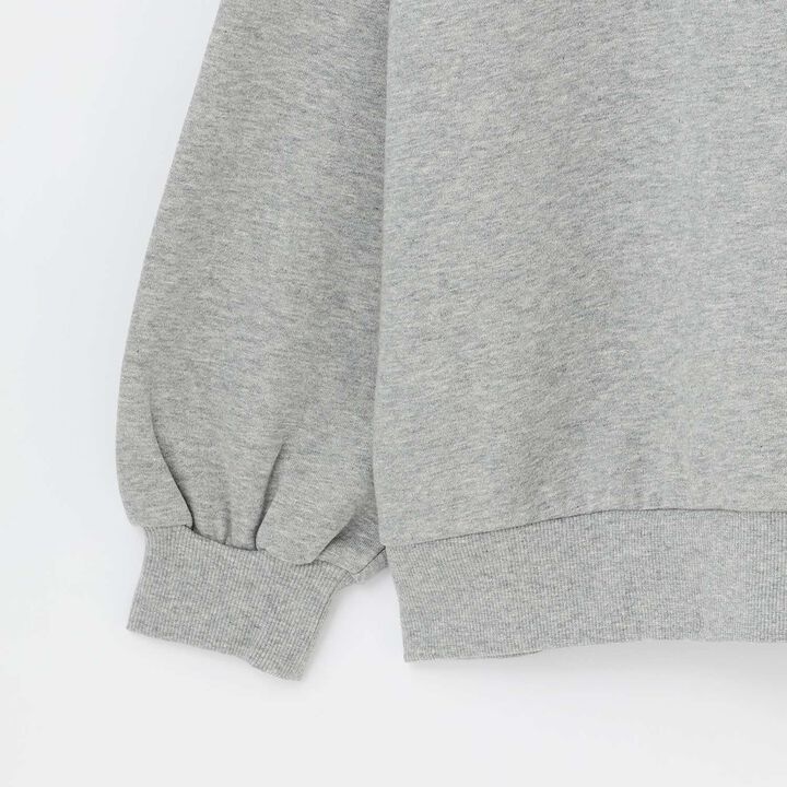 [LTXC] 100% Cotton Wool Lined Boa Logo Hoodie,Black, medium image number 13