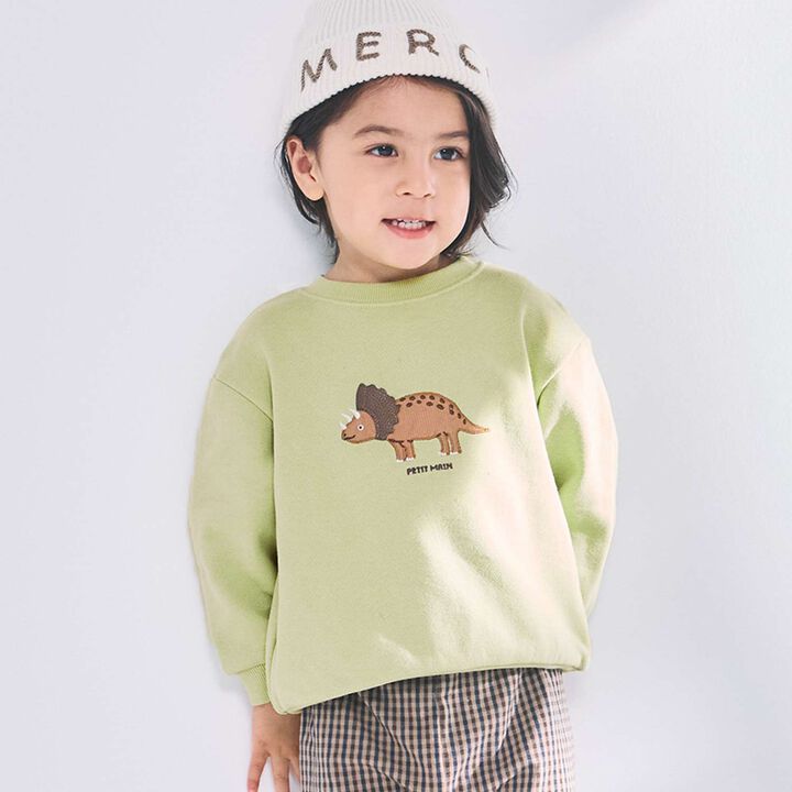 Dinosaur & Dog Appliqu&eacute; Sweatshirt,, medium