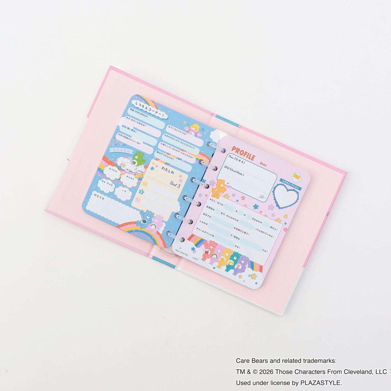 Care Bears Profile Book,Pink, large image number 5