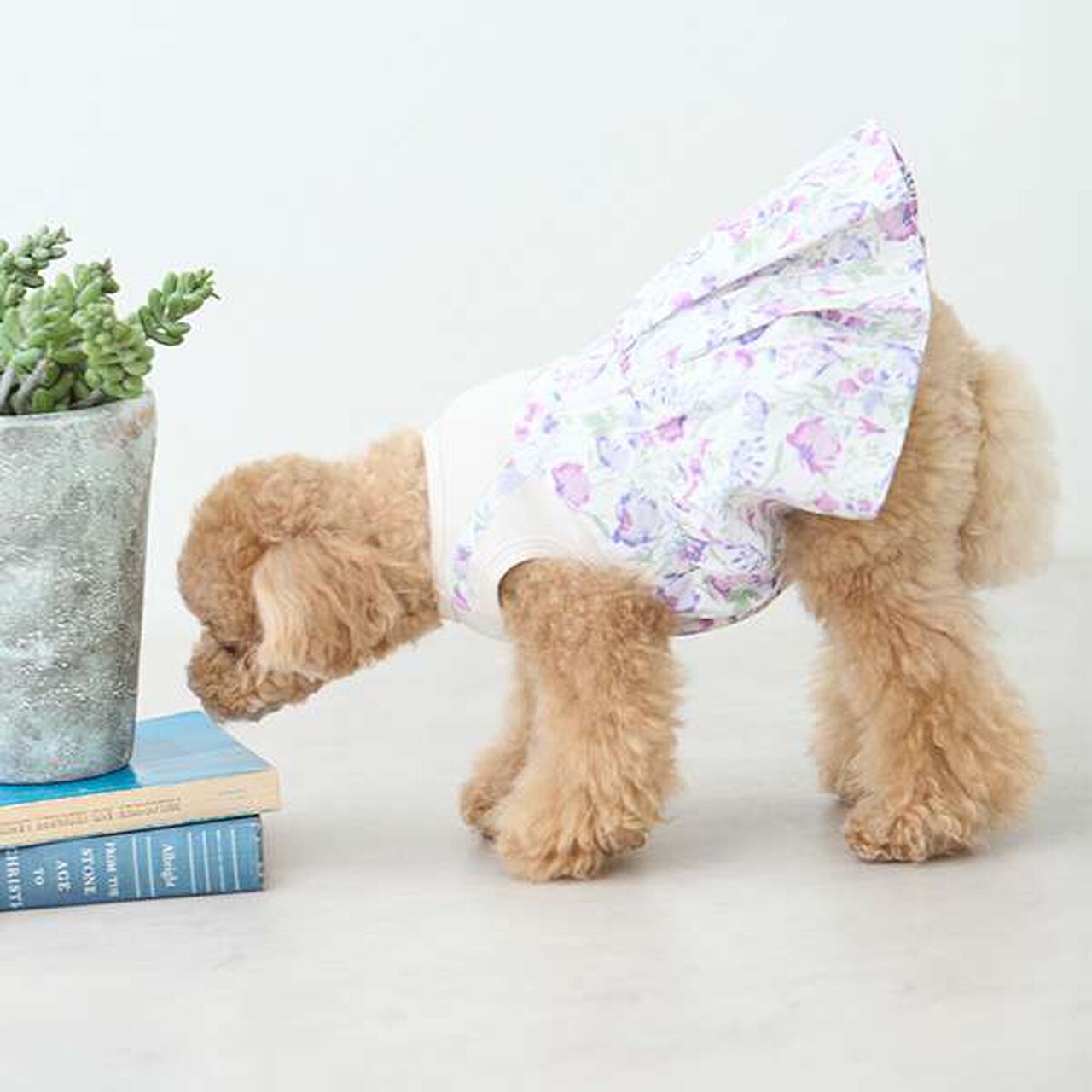 [DOG] Floral Pattern Docking Dress,Blue, large image number 1