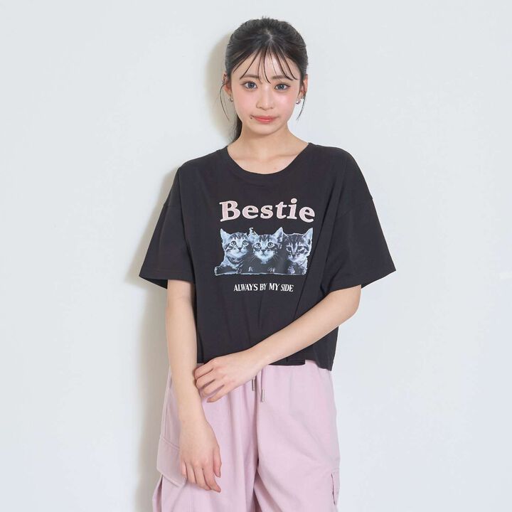 [100% Cotton] Cat Motif Photo Half Sleeve T-Shirt,, medium