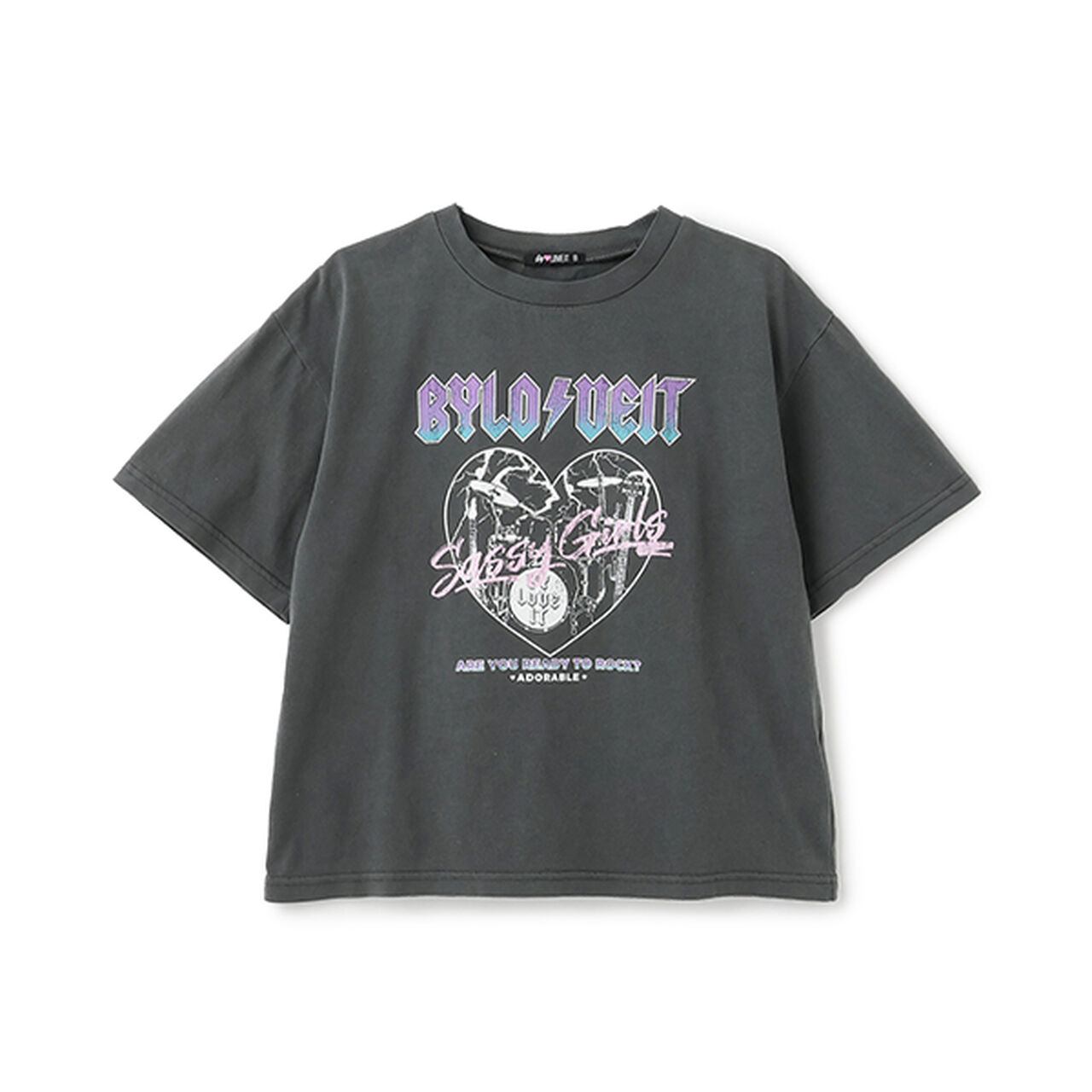 Vintage Style Band T-Shirt,Medium gray, large image number 0