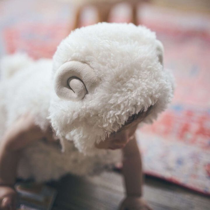 Sheep Plush Toy Set,Off white, medium image number 4