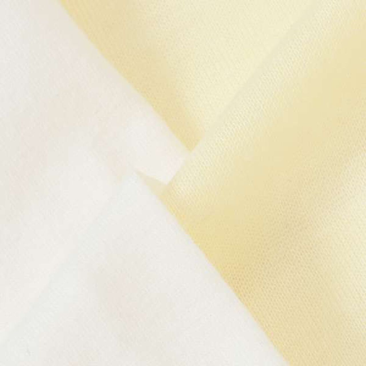 [LADIES] Sheer T-Shirt with Bra Top,Light beige, large image number 2