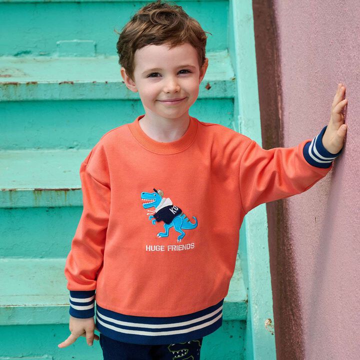 Hoodie Dinosaur Sweatshirt,, medium