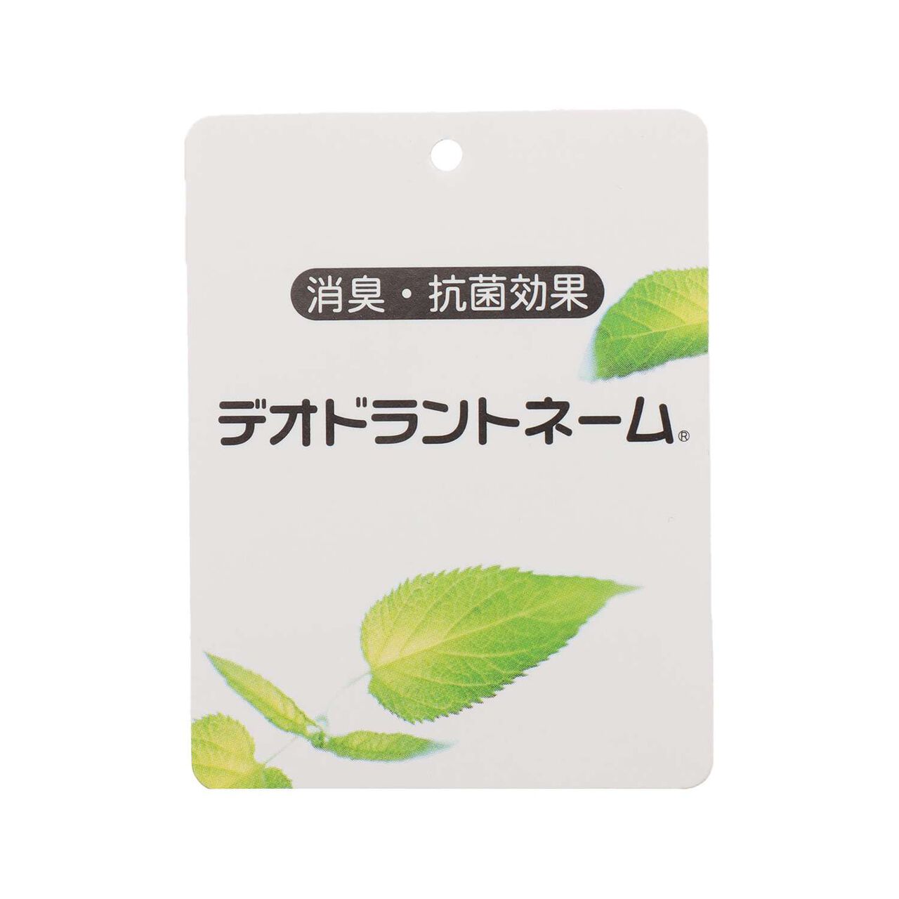 [LTXC] Water-Repellent Shoe Case,Black, large image number 8