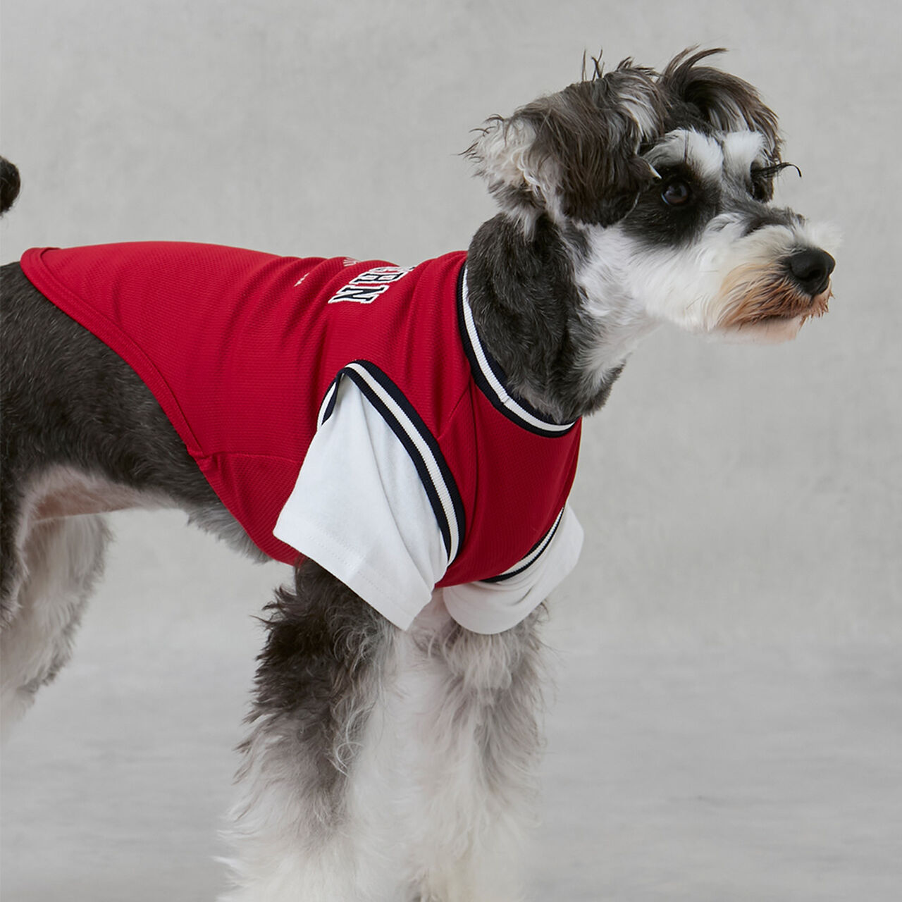 [Link][DOG] Cool Touch Uniform,Red, large image number 3