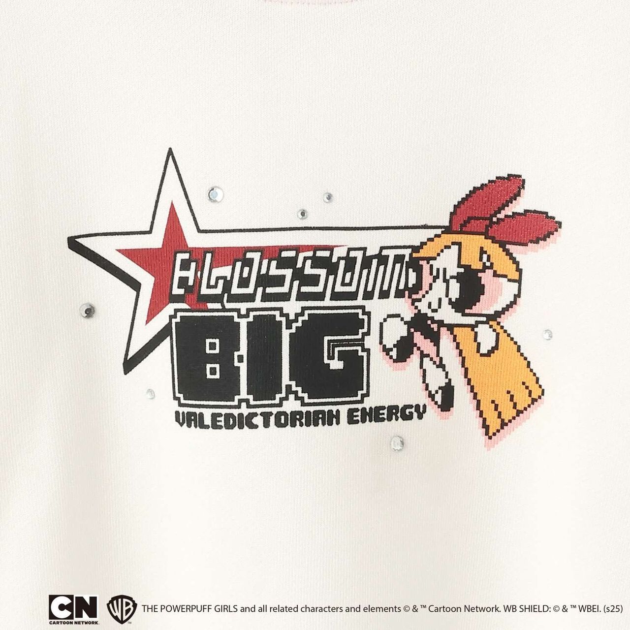 [Anti-Stain Finish] Powerpuff Girls Assorted Fleece Characters,Light green, large image number 5