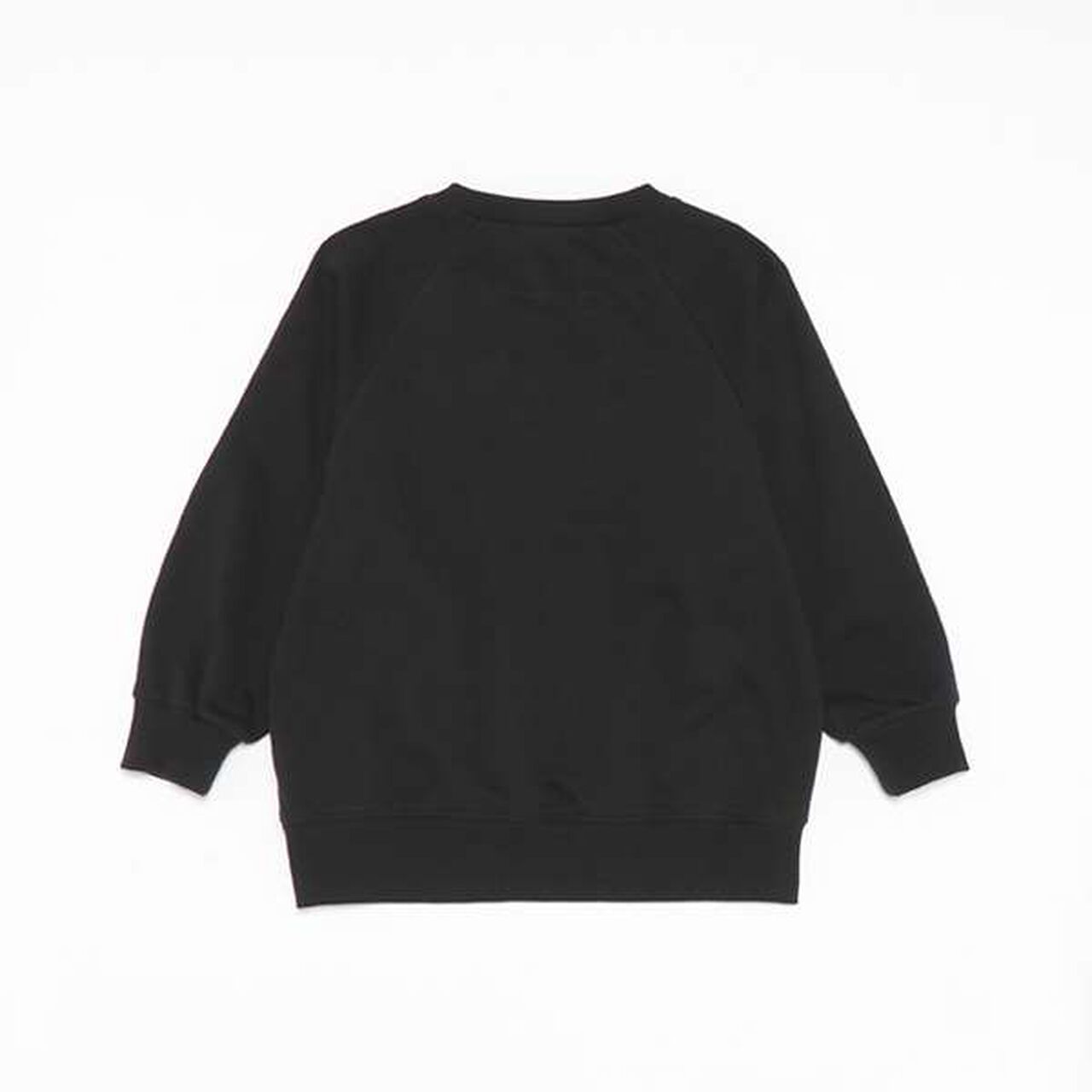 [Link] College Logo Raglan Sleeve Sweatshirt,Gray, large image number 1