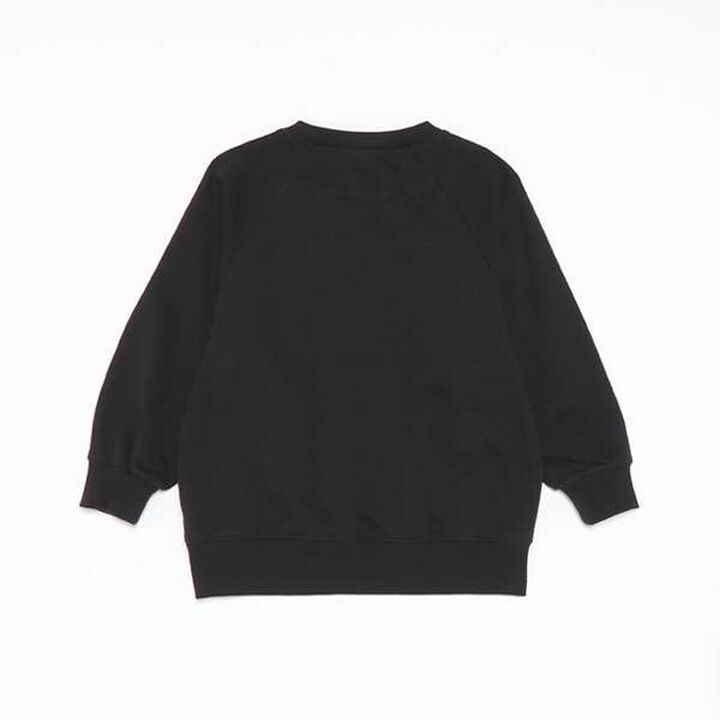 [Link] College Logo Raglan Sleeve Sweatshirt,Gray, medium image number 1