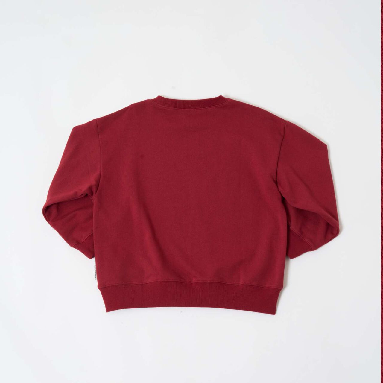 [Matching with Dad Outfit] [365D.] Sweatshirt City Icon Embroidered Wide Pullover,Yellow, large image number 17