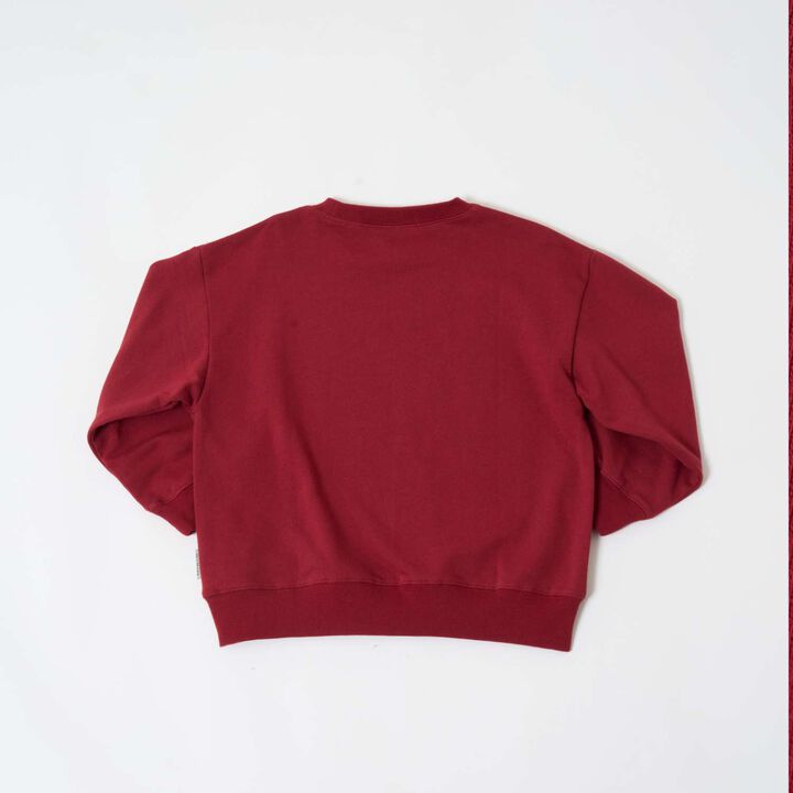 [Matching with Dad Outfit] [365D.] Sweatshirt City Icon Embroidered Wide Pullover,Yellow, medium image number 17