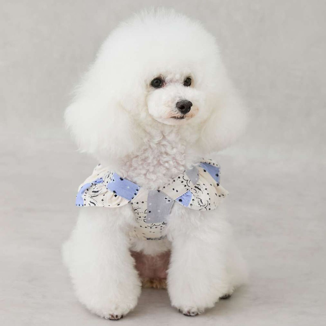 [Link][DOG] Shoulder Frill Dress,Light beige, large image number 1