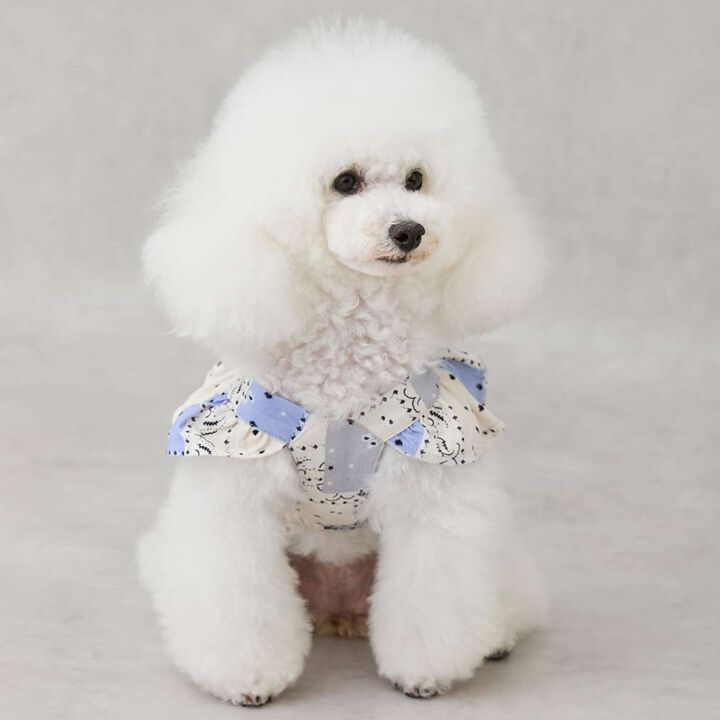 [Link][DOG] Shoulder Frill Dress,Light beige, medium image number 1