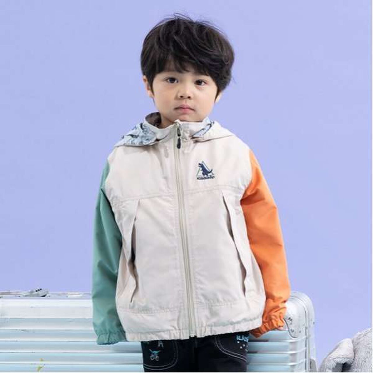 Dinosaur Reversible Windbreaker,Beige, large image number 0