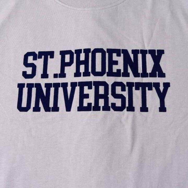 Flocked College Logo Print Long-Sleeve T-Shirt,Navy, medium image number 4