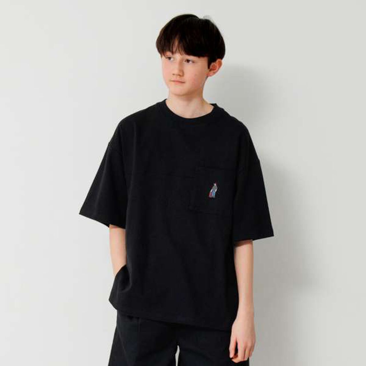 Big Short Sleeve T-Shirt with Pocket and Skater Embroidery,White, large image number 21