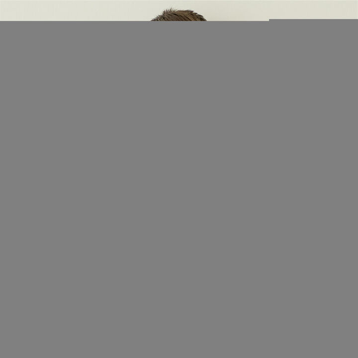 [Tomica] Photo Print T-Shirt for Boys Kids Children's Clothing,Navy, medium image number 6