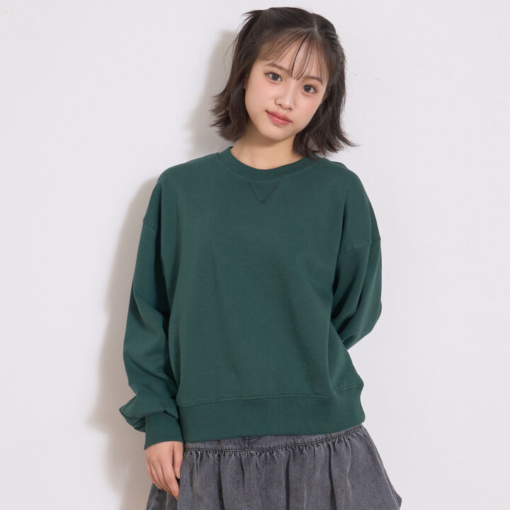 Wool Lined 100% Cotton Sweatshirt,, medium