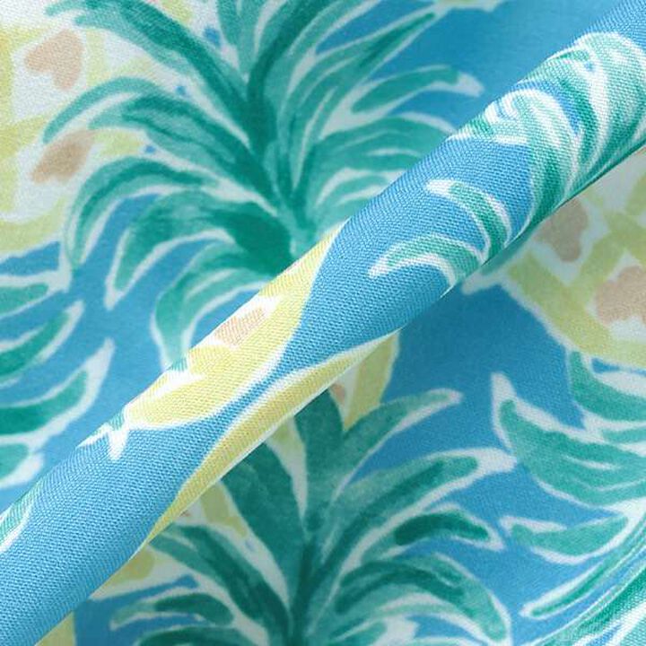 [SWIM] Pineapple Boy's Swimwear,Blue, medium image number 5