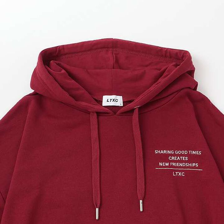 LTXC - Back Sagara Parka,Top gray, medium image number 11