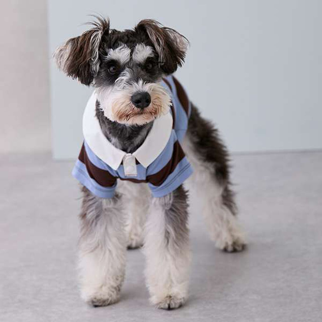 [DOG] Rugby Shirt,Beige, large image number 5