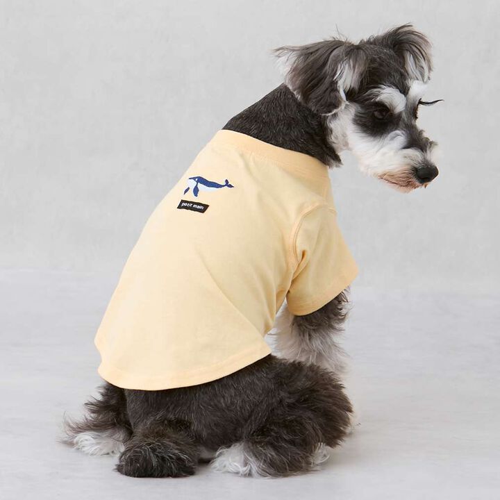 [GOOD PRICE Cool Sensation] Embroidered Short Sleeve T-Shirt,Light blue, medium image number 5