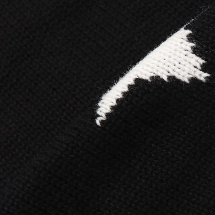 [LTXC] Star Pattern Leg Covers,Black, medium image number 3