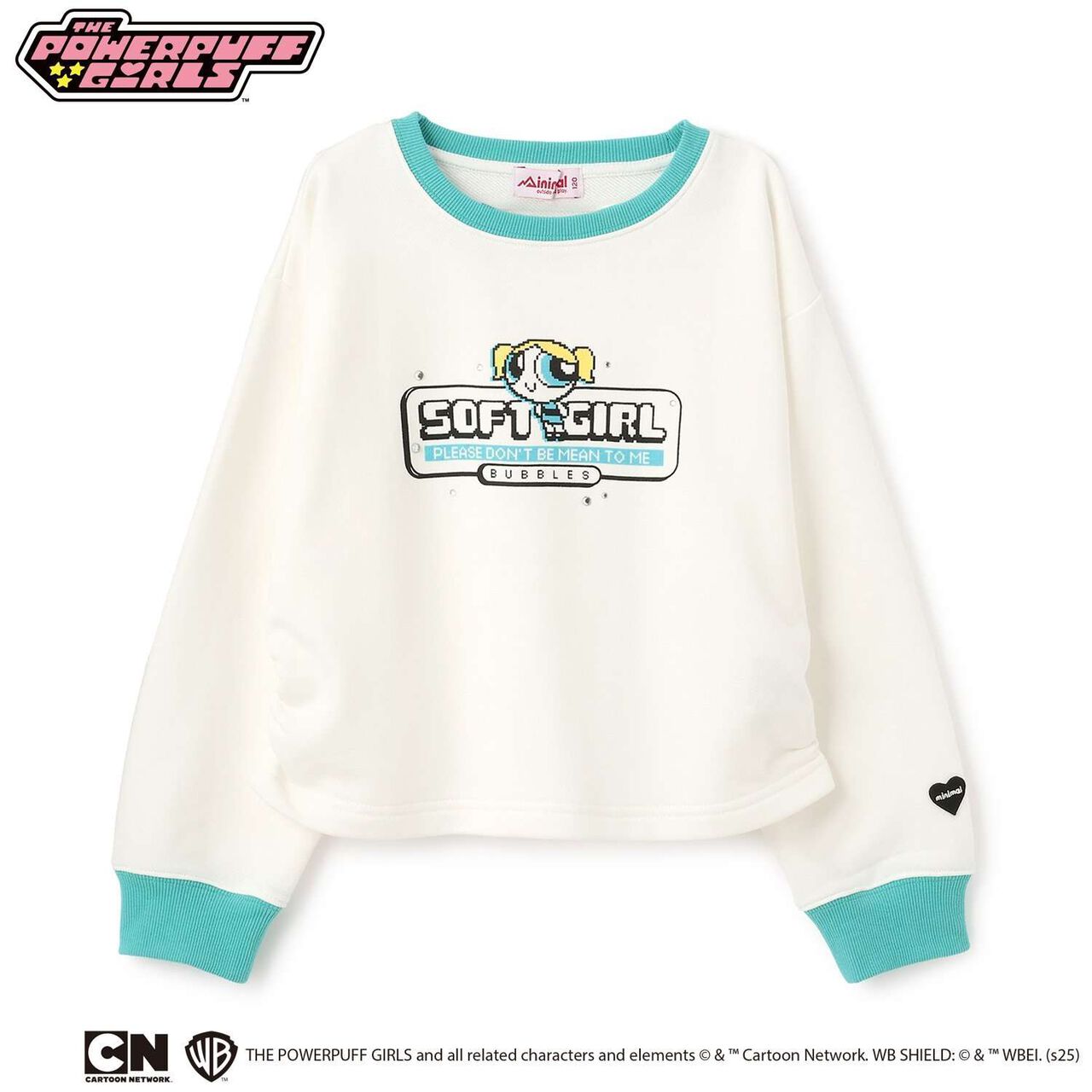 [Anti-Stain Finish] Powerpuff Girls Assorted Fleece Characters,Light green, large image number 14