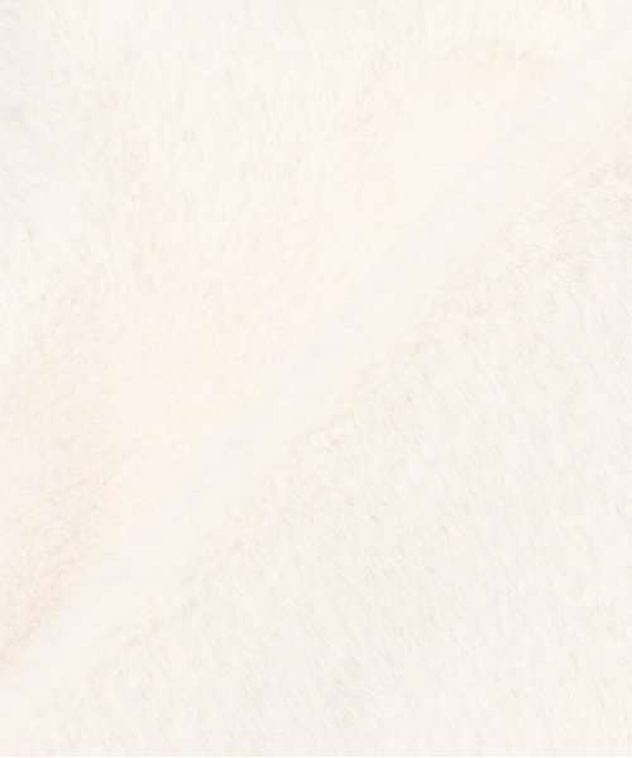 Fable Jacket,Ivory, large image number 10