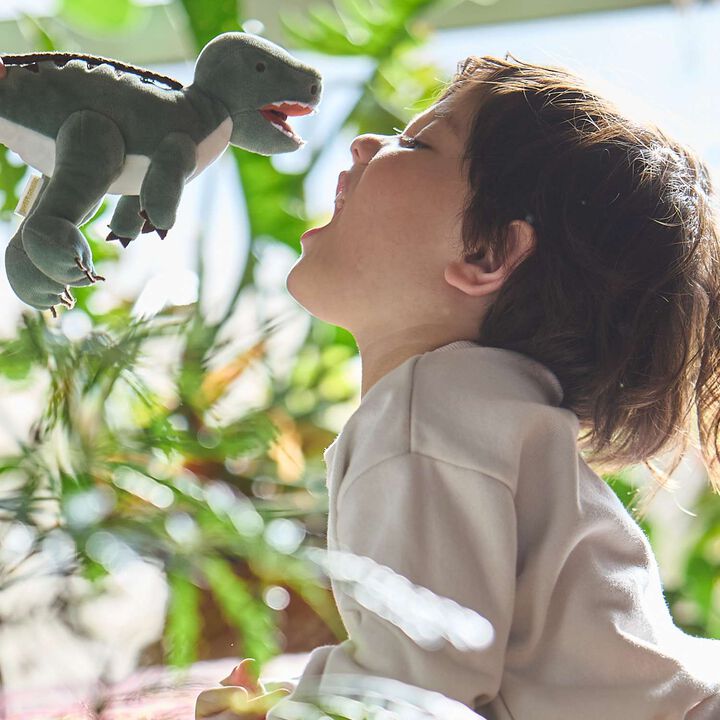 Dinosaur Small Shoulder Bag,Light orange, medium image number 5