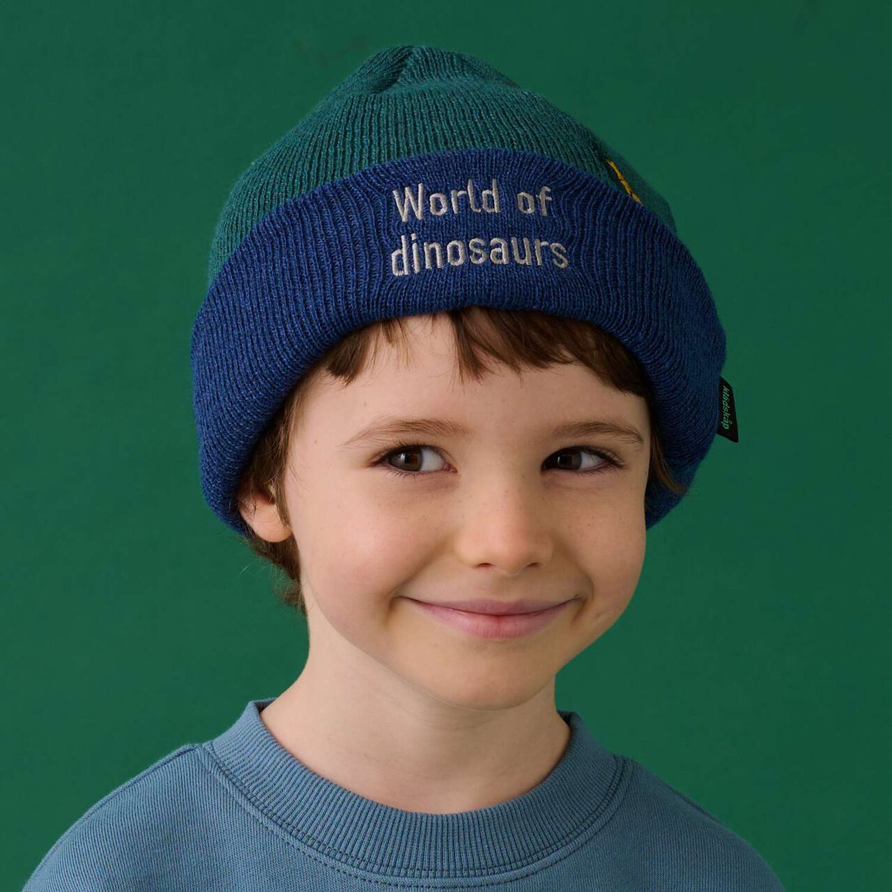 Dinosaur Beanie,Moss green, large image number 0